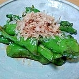 とうがらし・葉唐辛子